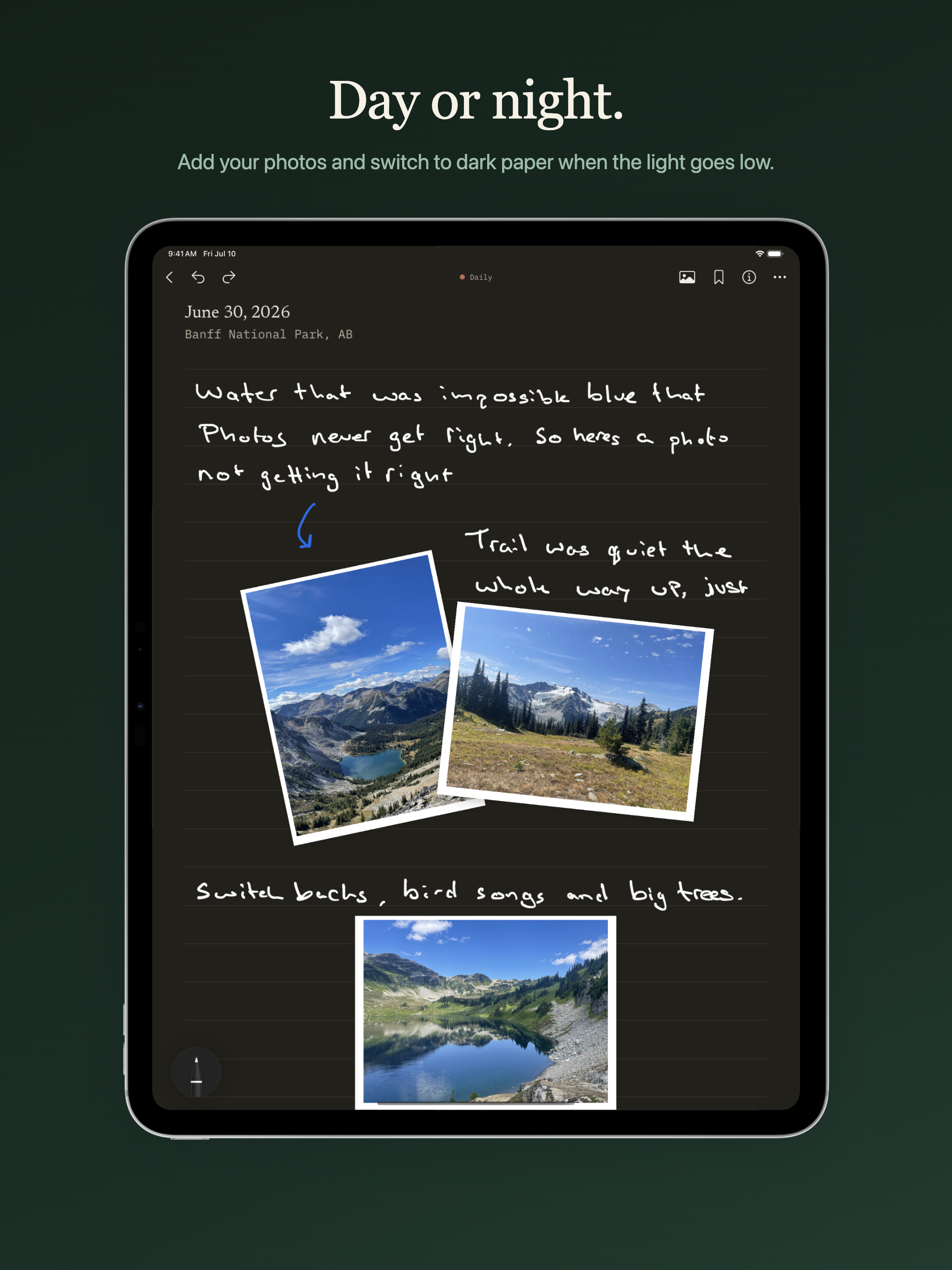 PaperThoughts on iPad in dark mode.